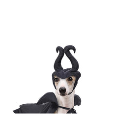 Halloween Karneval Party Anzug Maleficent Haustier Cosplay Kostüm