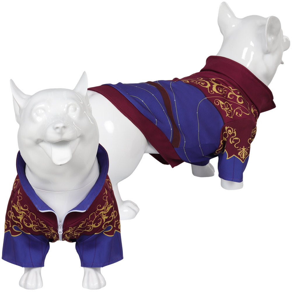 Baldur's Gate Haustier Cosplay Kostüm Outfits Astarion Hundebekleidung