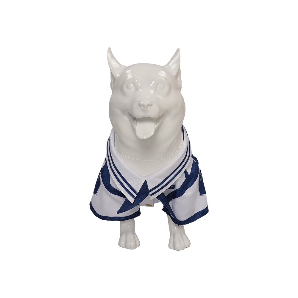 Haustier Hundekleidung Cosplay Kostüm Outfits Halloween Karneval Party Anzug