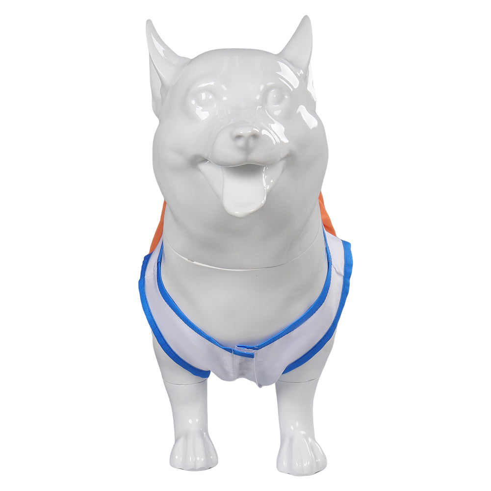 One Piece Nami Hundekleidun Kostüm Outfits Haustier Anime