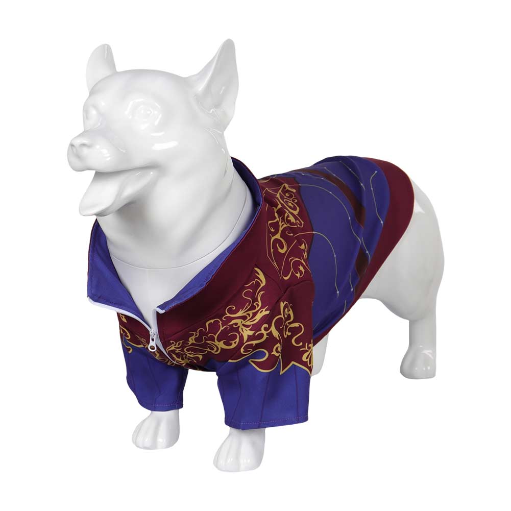 Baldur's Gate Haustier Cosplay Kostüm Outfits Astarion Hundebekleidung