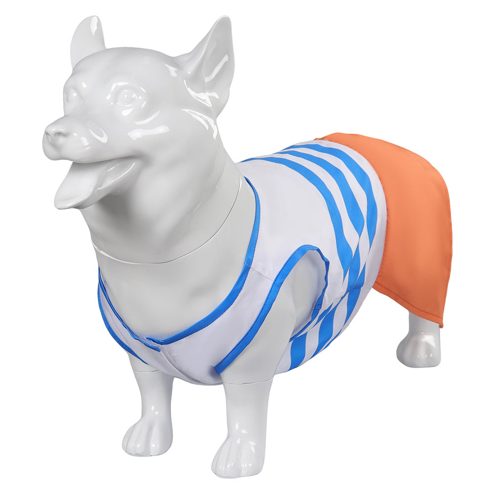 One Piece Nami Hundekleidun Kostüm Outfits Haustier Anime
