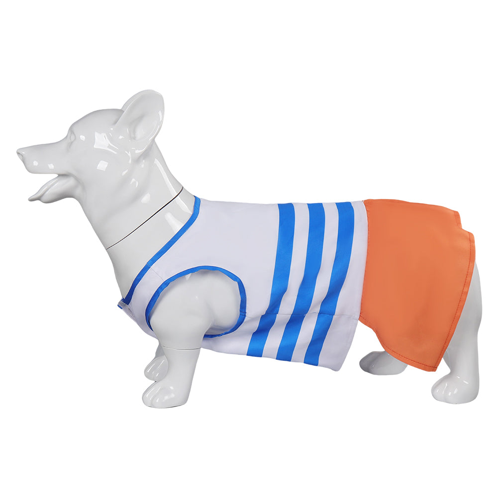 One Piece Nami Hundekleidun Kostüm Outfits Haustier Anime